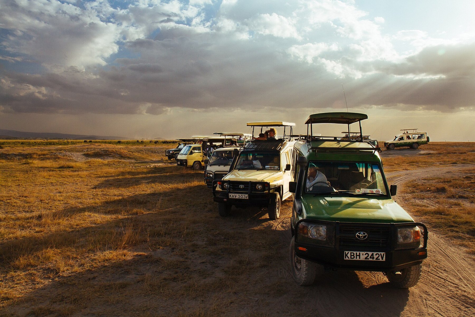 Game drive in Amboseli